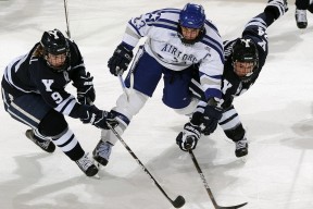 kaiyun官方网站-比赛现场座无虚席观众助威声浪形成强大主场气场，比赛现场观众注意事项最新