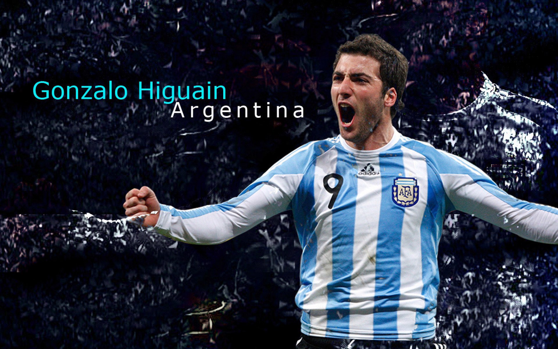 西部联盟新军崛起,灰熊本季黑马气质十足,西部灰狼